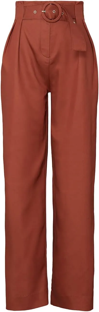 Sweet Baby Jamie Rent The Runway Pre-Loved Rust Pleated Pants